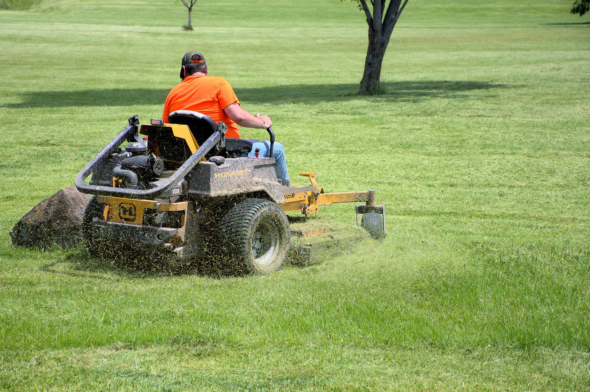 Beautiful lawn