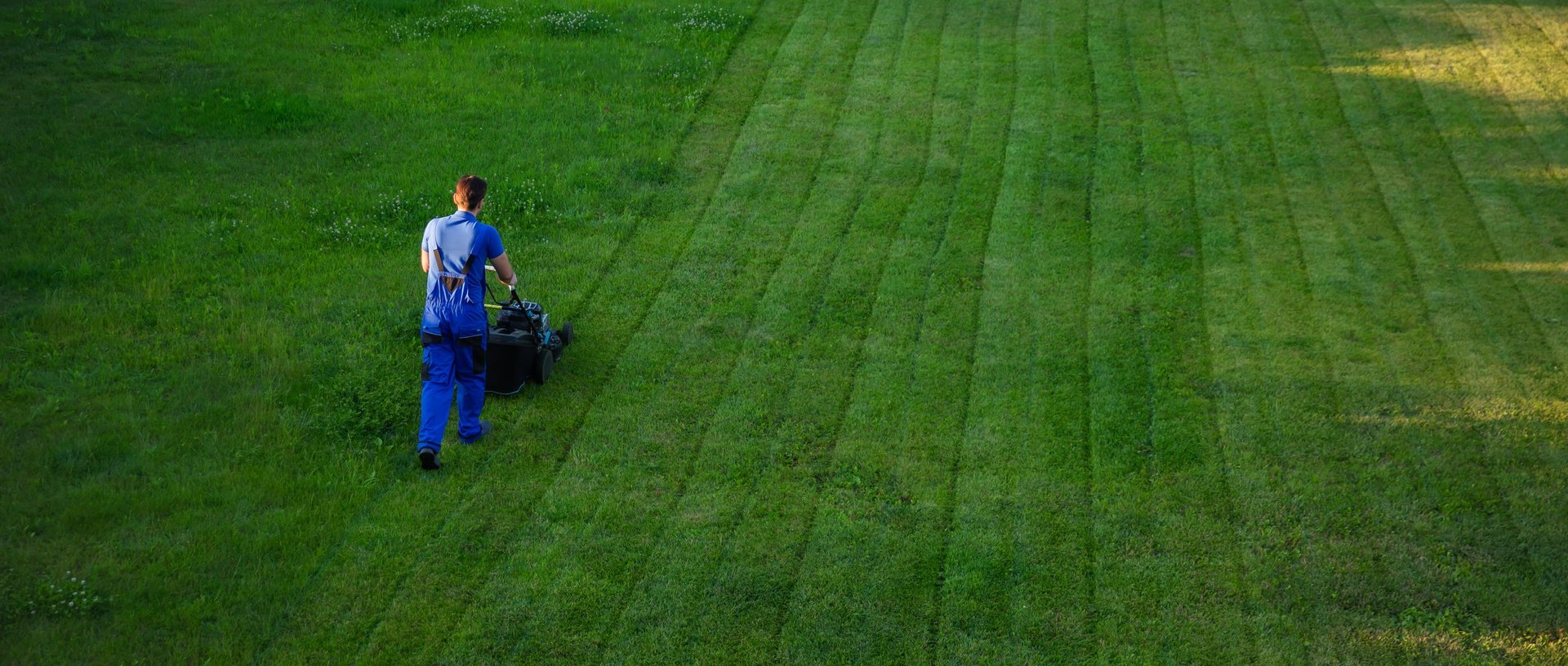 Professional lawn mowing service