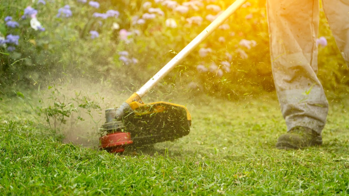 Garden edging and trimming